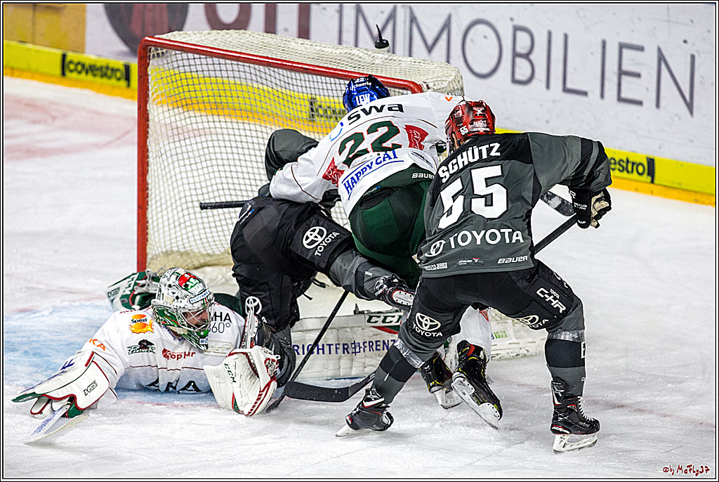 DEL Koelner Haie - Augsburg Panther, 14.09.2018